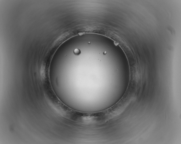 X0000111850216200907231435