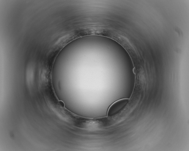 X0000111850218200907231435