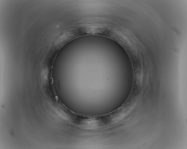 X0000111850219200907231435