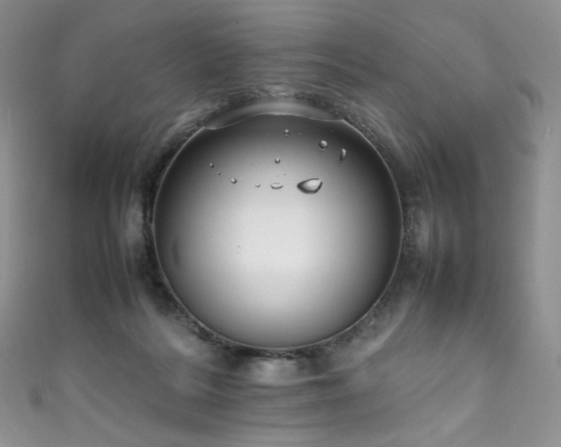 X0000111850220200907231435