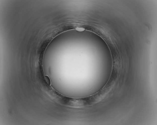 X0000111850221200907231435