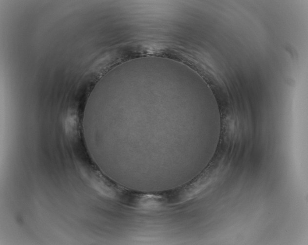 X0000111850222200907231435