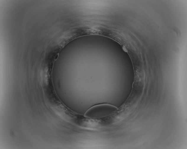 X0000111850223200907231435