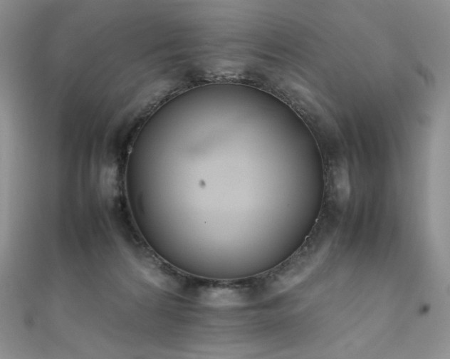 X0000111850224200907231435