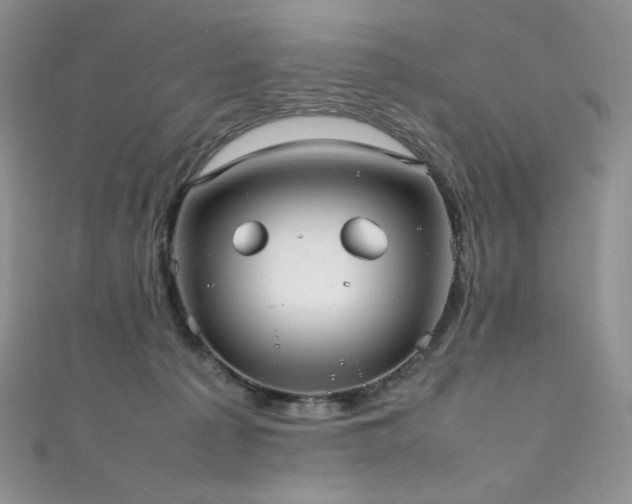 X0000111850225200907231435