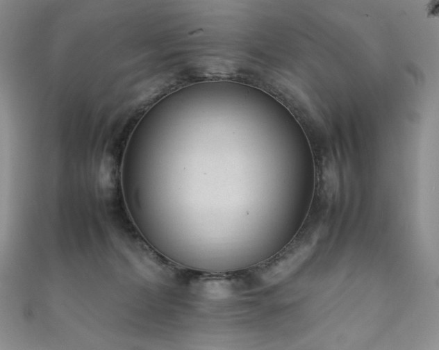 X0000111850228200907231435