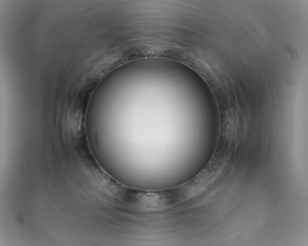 X0000111850230200907231435
