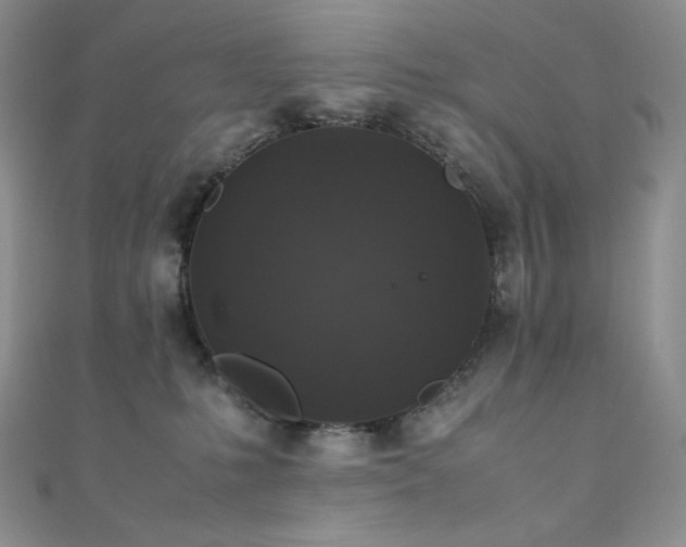 X0000111850231200907231435