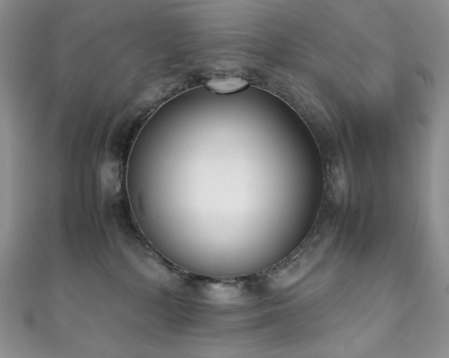 X0000111850232200907231435