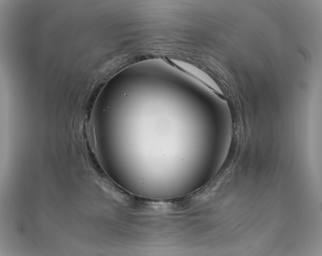 X0000111850233200907231435