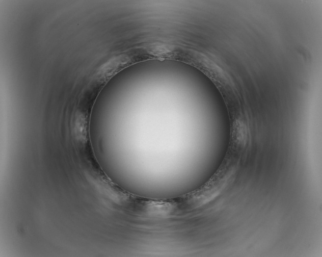 X0000111850234200907231435