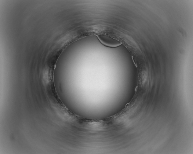 X0000111850236200907231435