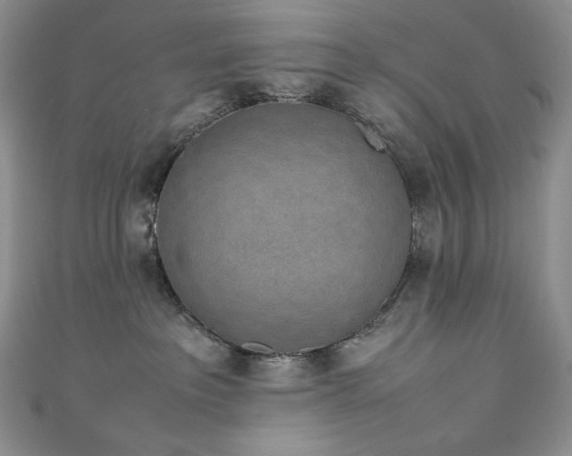 X0000111850237200907231435