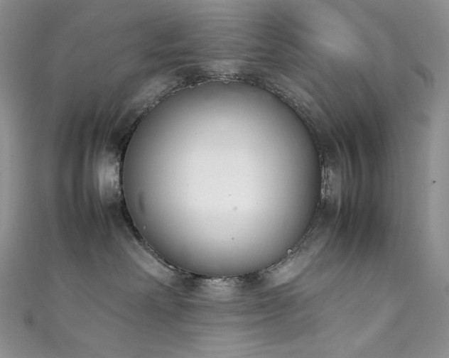 X0000111850238200907231435