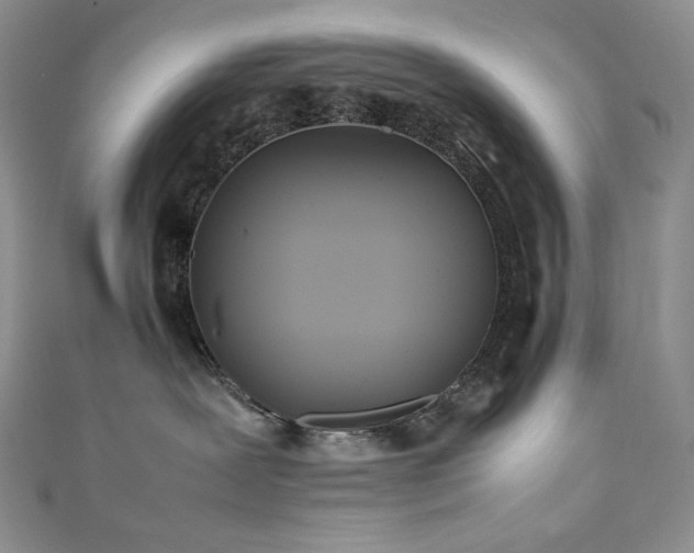 X0000111850239200907231435