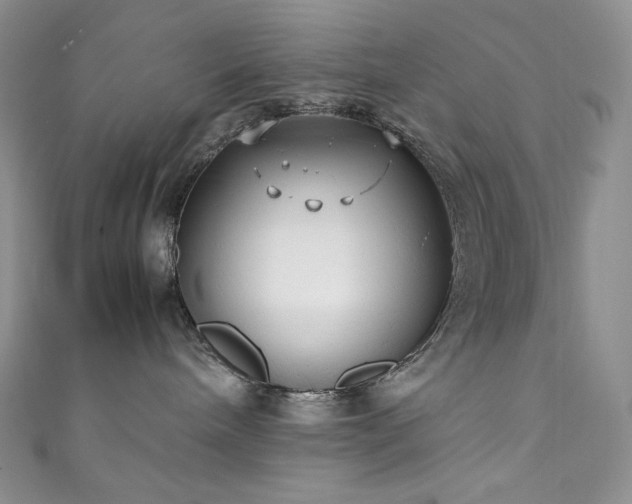 X0000111850240200907231435