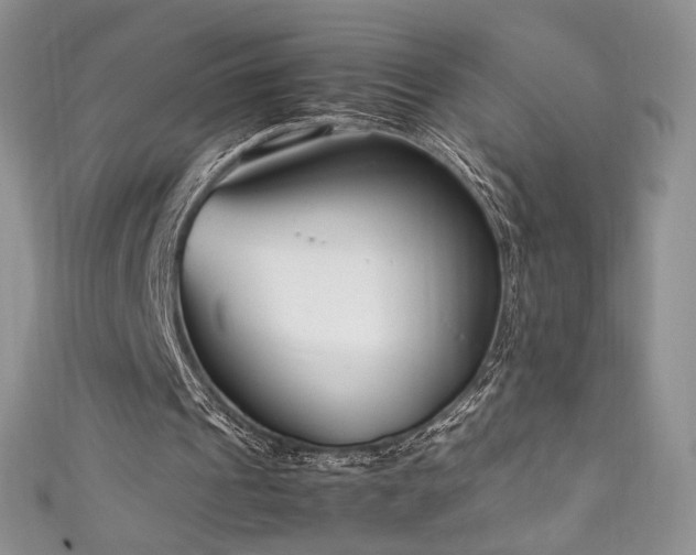X0000111850241200907231434
