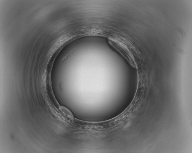 X0000111850242200907231434