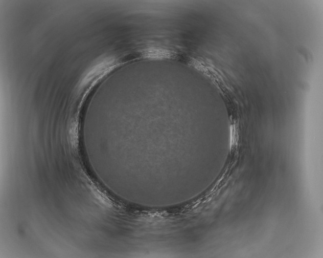 X0000111850243200907231434
