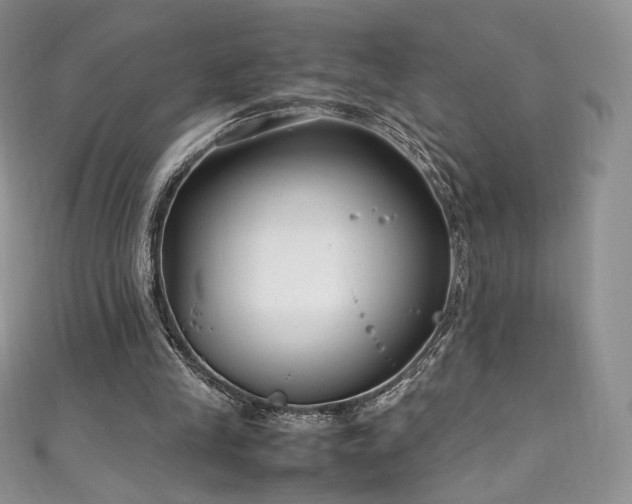 X0000111850245200907231434
