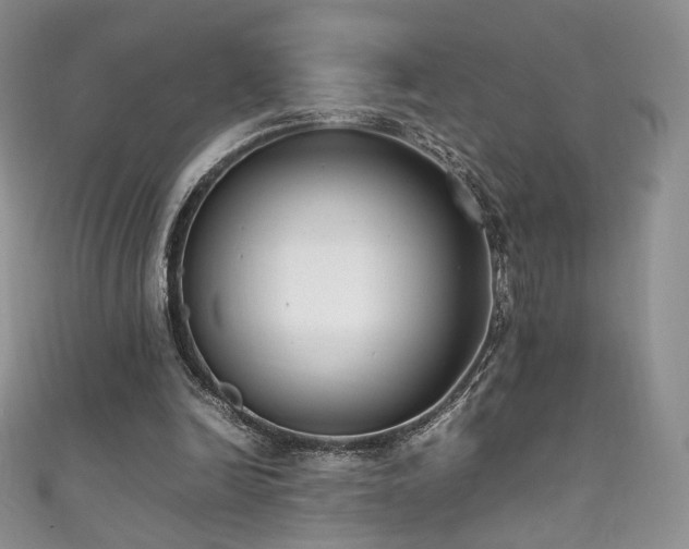 X0000111850246200907231434