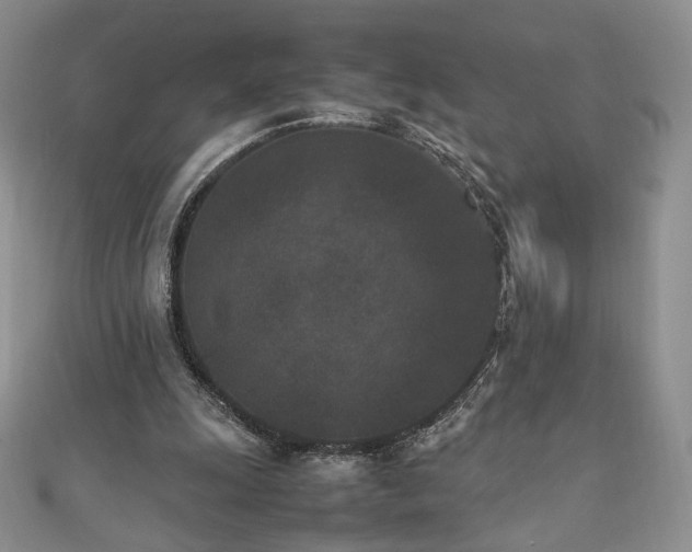 X0000111850247200907231434