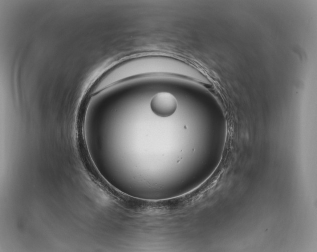 X0000111850248200907231434
