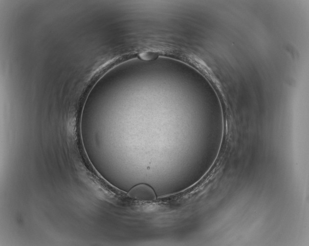 X0000111850249200907231434