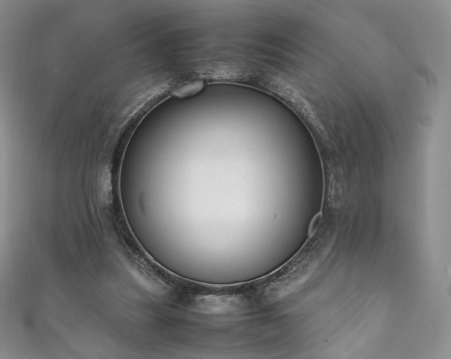 X0000111850251200907231434