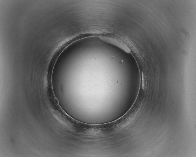 X0000111850252200907231434
