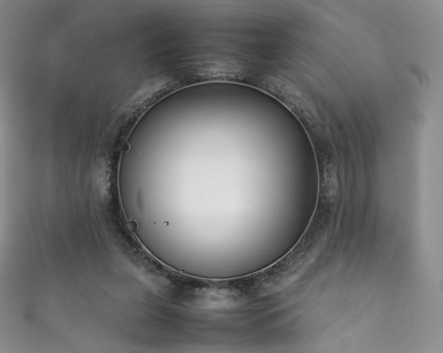 X0000111850255200907231434