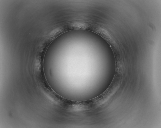 X0000111850259200907231434