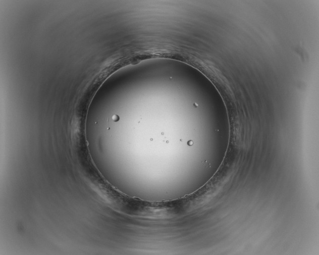 X0000111850260200907231434