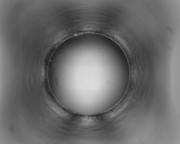 X0000111850261200907231434