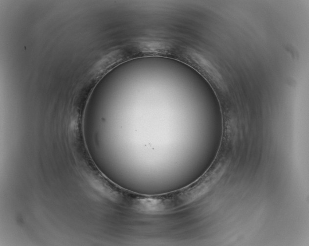 X0000111850265200907231434