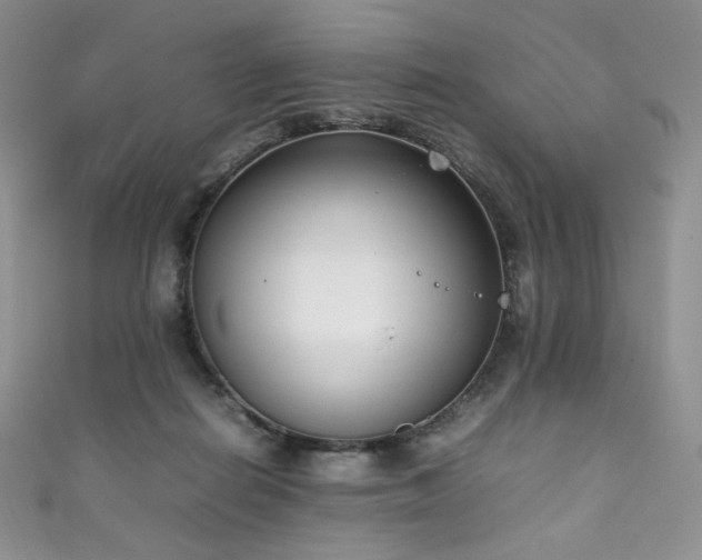 X0000111850266200907231435