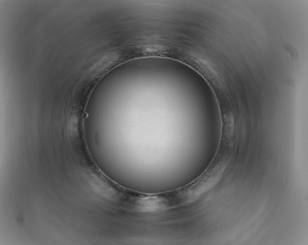 X0000111850269200907231435