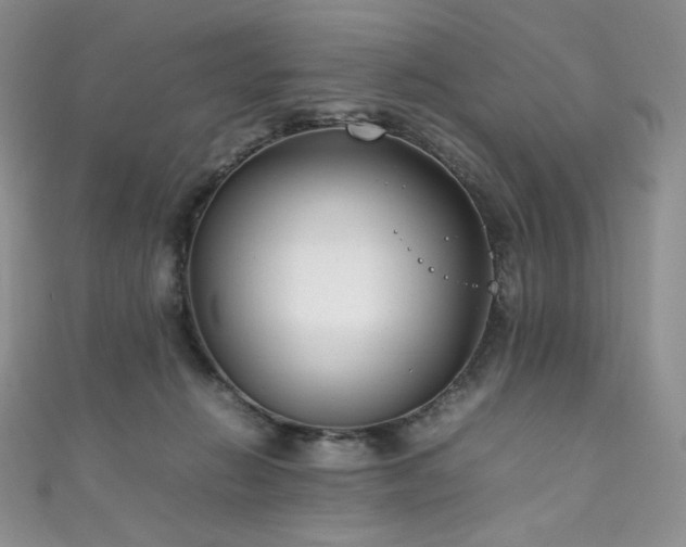 X0000111850270200907231435