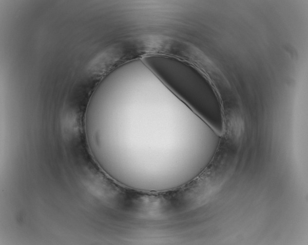 X0000111850272200907231435