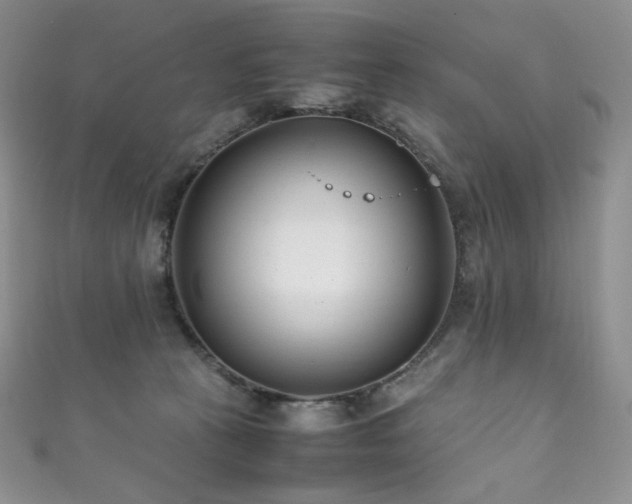 X0000111850273200907231435