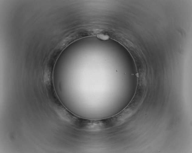 X0000111850274200907231435
