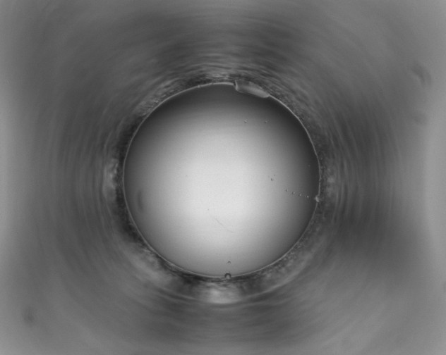X0000111850275200907231435