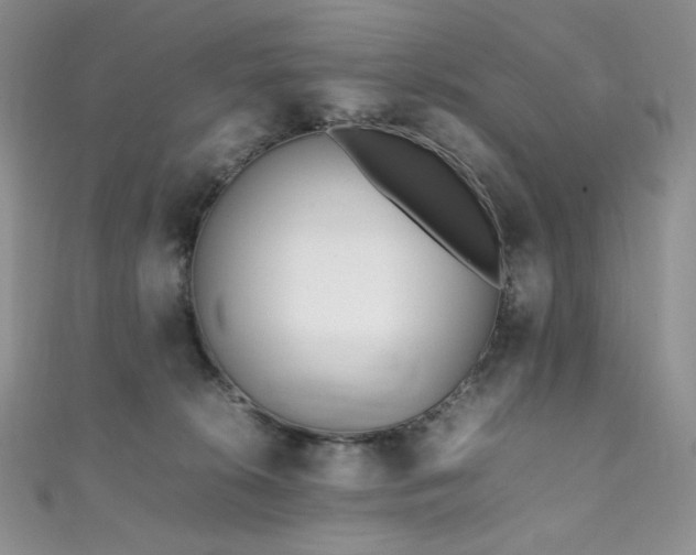 X0000111850276200907231435