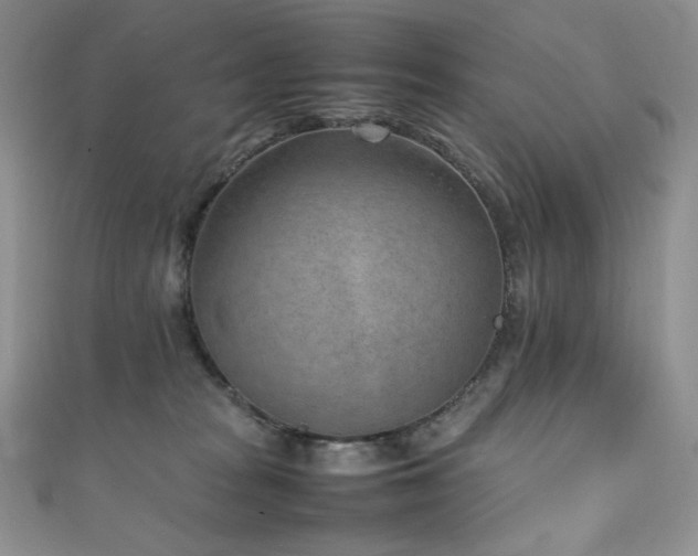 X0000111850277200907231435