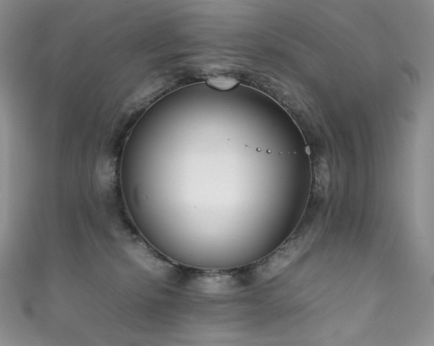X0000111850278200907231435