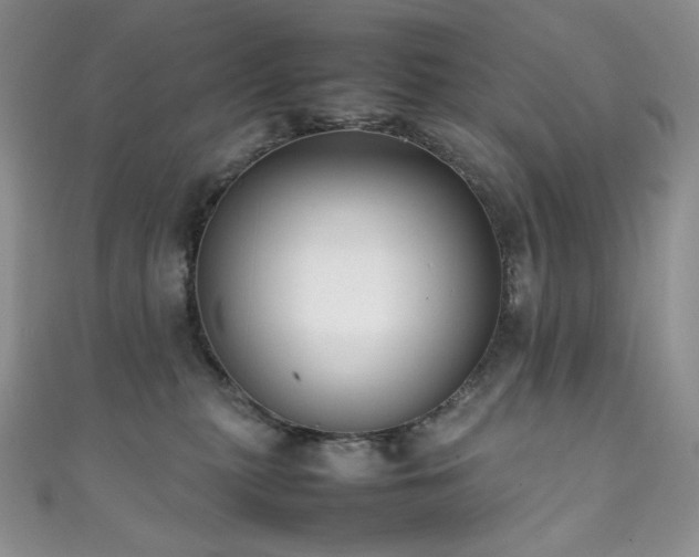 X0000111850279200907231435
