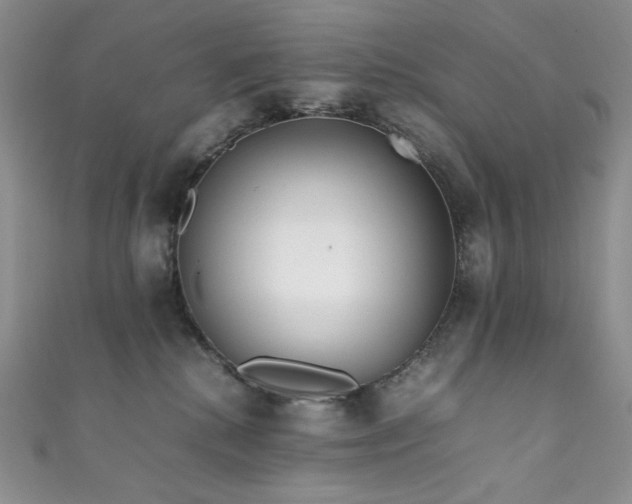 X0000111850280200907231435