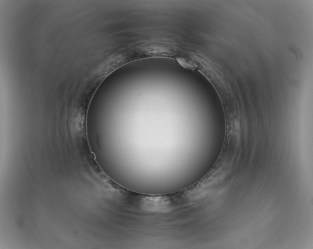 X0000111850281200907231435