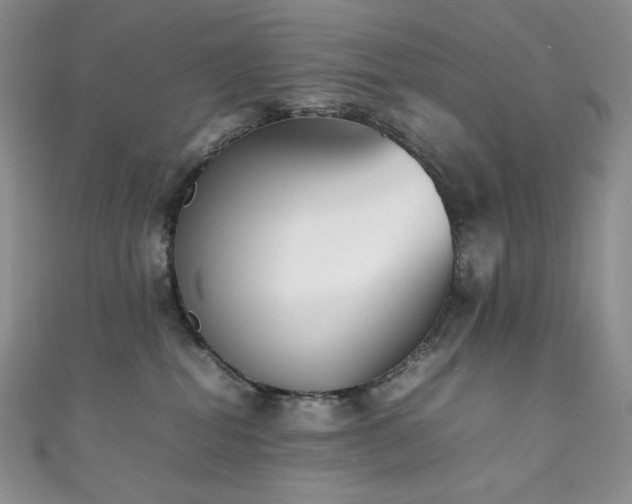 X0000111850282200907231435