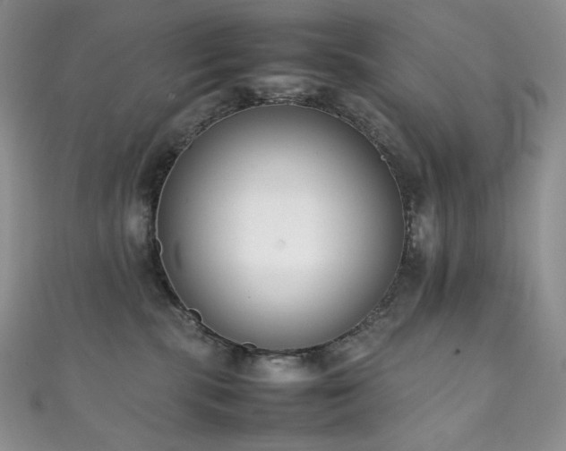 X0000111850283200907231435